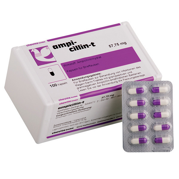 AMPICILLIN-T capsules - (treats gastro-intestinal bacterial infections (gram+ve & gram-ve pathogens) - (box - 100 capsules)
